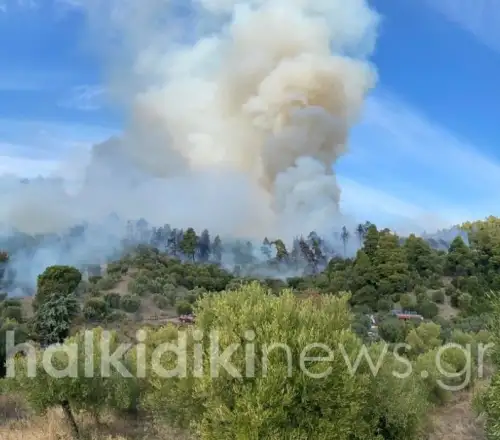 Μεγάλη φωτιά στη Χαλκιδική: Ήχησε το 112 Νοέμβρη μήνα