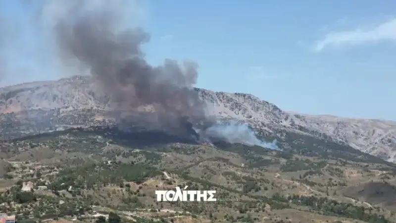 Χίος: Κάηκαν 270 στρέμματα, δάσος και καλλιέργειες από την μεγάλη φωτιά στις Καρυές