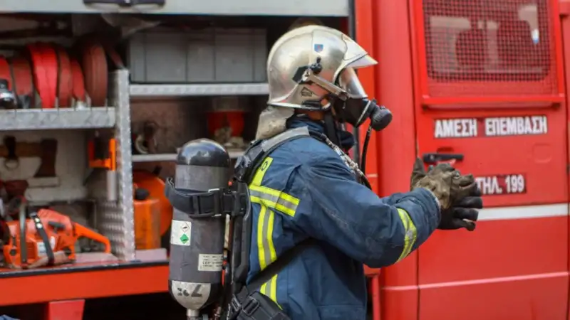 Φωτιά στον Κατσικά Ιωαννίνων - Μεγάλη κινητοποίηση της Πυροσβεστικής