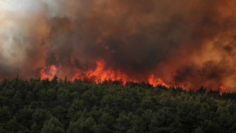 Φωτιές σε Ασπρόπυργο, Σπάρτη, Καλάβρυτα και Λαμία, 112 για την πυρκαγιά στην Αργολίδα – Συναγερμός στην Πυροσβεστική