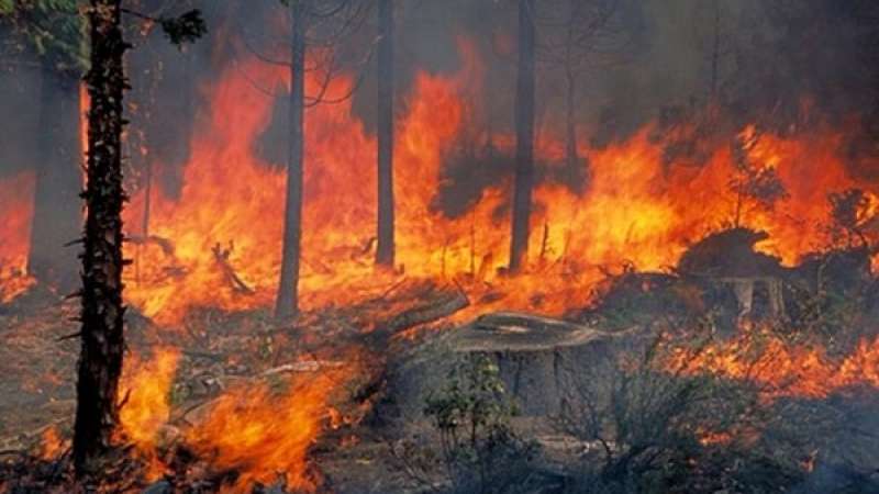 Προειδοποίηση Τσατραφύλλια: «Ερχεται καιρός τύπου Hot - Dry - Windy, οι δυσμενείς περιοχές που κινδυνεύουν για πυρκαγιές»