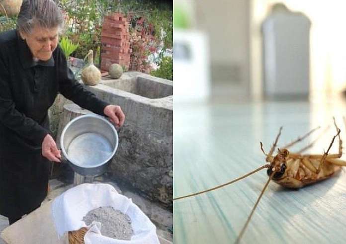 Οι 3 φυσικοί τρόποι για να ξεφορτωθείτε τις κατσαρίδες