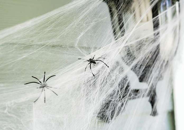 Πέντε φυσικοί τρόποι για να ξεφορτωθείτε τις αράχνες από το σπίτι σας