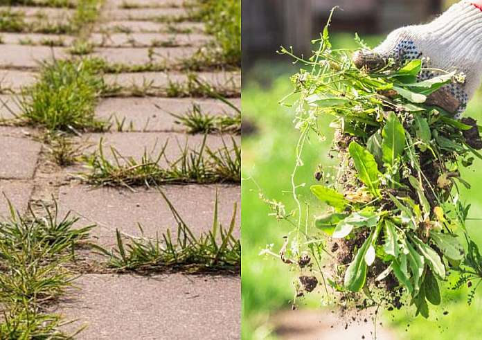 Πρασινάδες στο τσιμέντο και στα πλακάκια του Κήπου: Δείτε πως να μην ξαναφυτρώσουν