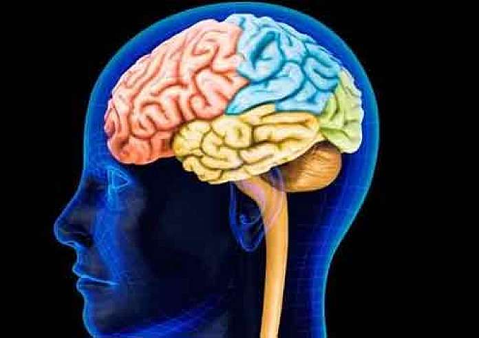 Αλτσχάιμερ και γήρανση του εγκεφάλου: Η πρωτεΐνη που μπορεί να είναι κλειδί για τη θεραπεία τους