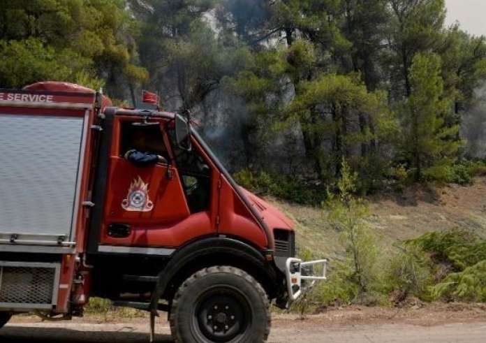 Εύβοια: Φωτιά σε δασική έκταση στο Κοντοδεσπότι