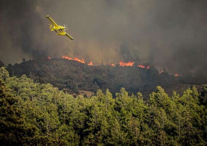 Μάχη με τις φλόγες σε Έβρο, Καβάλα, Βοιωτία και Εύβοια: Εχθρός οι ισχυροί άνεμοι - Συνεχείς εκκενώσεις οικισμών