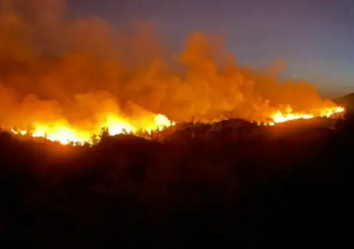 Meteo για φωτιές σε Έβρο και Βοιωτία: «Δυσμενείς οι συνθήκες μέχρι το βράδυ με ισχυρούς ανέμους»