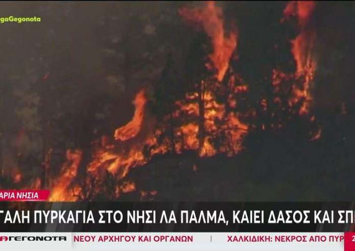 Κανάρια Νησιά: Μεγάλη πυρκαγιά στο νησί Λα Πάλμα