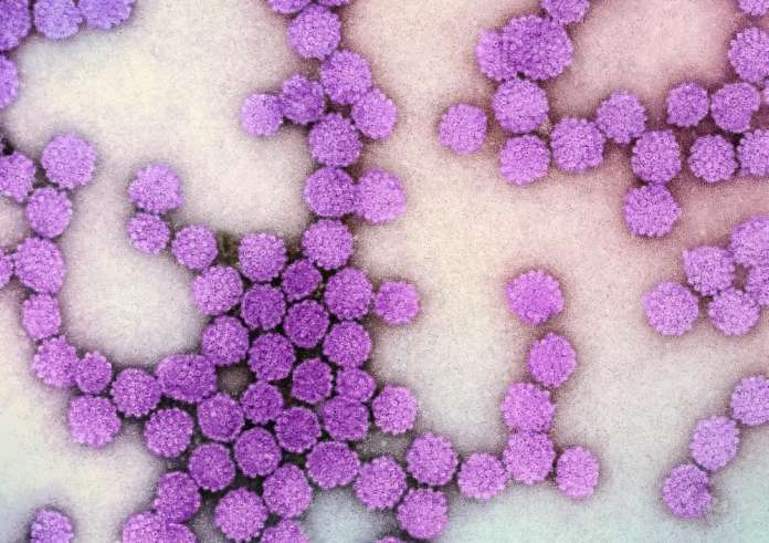 Πώς συνδέεται ο ιός των κονδυλωμάτων (HPV) με προβλήματα στην καρδιά