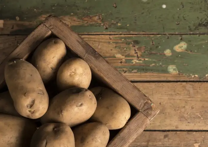 TikTok: H viral συνταγή για να βράσεις πατάτες στο πλυντήριο