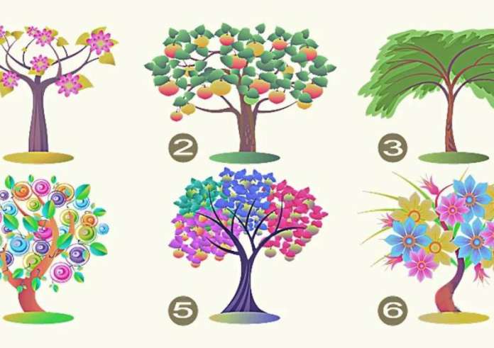 Τεστ προσωπικότητας: Το δέντρο που θα επιλέξετε αποκαλύπτει τα κυρίαρχα χαρακτηριστικά σας