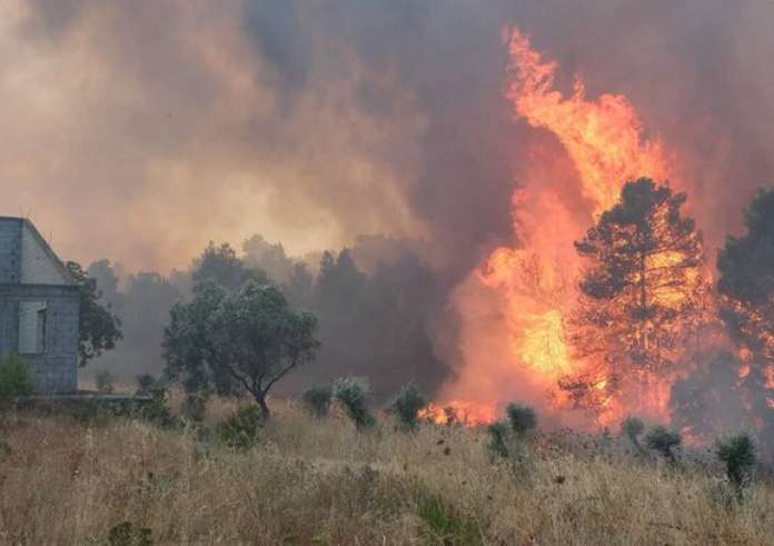 Φωτιά στον Έβρο: Τρόμος από τις συνεχείς αναζωπυρώσεις – Μήνυμα για εκκένωση Λευκίμμης και Κασσιτερών