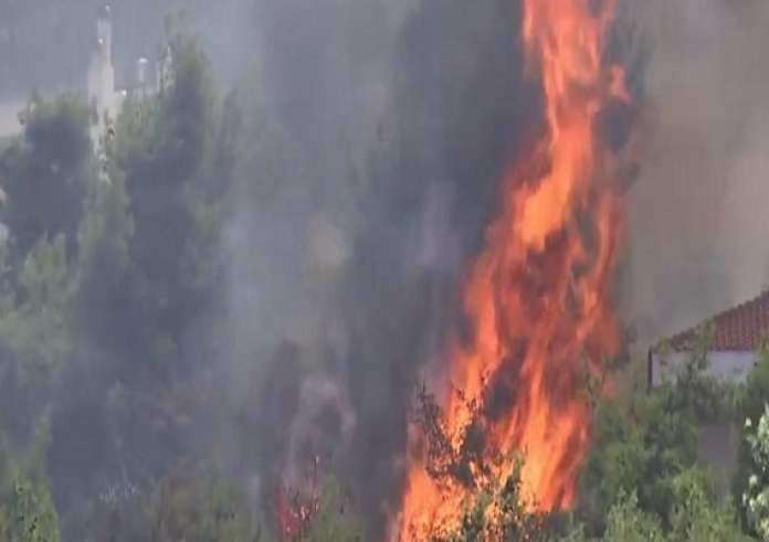 Εύβοια: Μεγάλη φωτιά στα Ψαχνά – Εκκενώνονται περιοχές – Διπλό μήνυμα του 112