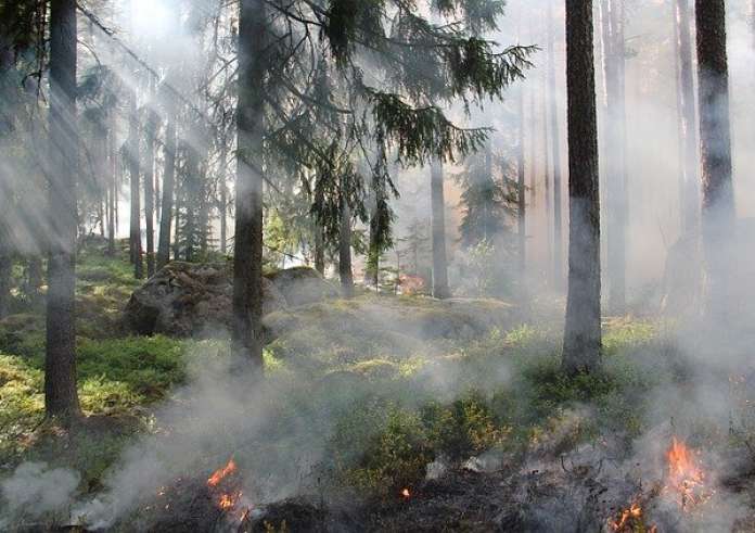 Σέρρες: 28 μέρες καίει η φωτιά στο Όρος Όρβηλος - Ακούγονται εκρήξεις από πολεμικό υλικό