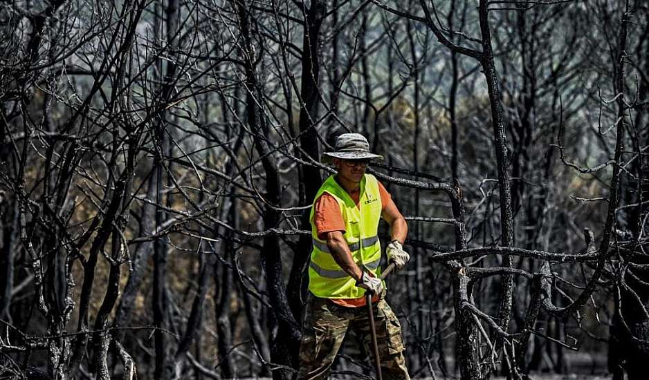 Φωτιές: Στάχτη έγιναν 550.000 στρέμματα στην Ελλάδα μέχρι τον Ιούλιο